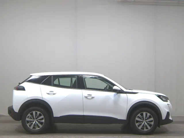 Peugeot 2008 1.5 BlueHDI Active