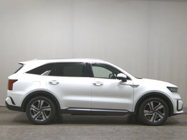 Kia Sorento 1.6 T-GDi Platinum