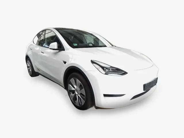 Tesla Model Y Rwd Navi LED Leder SHZ