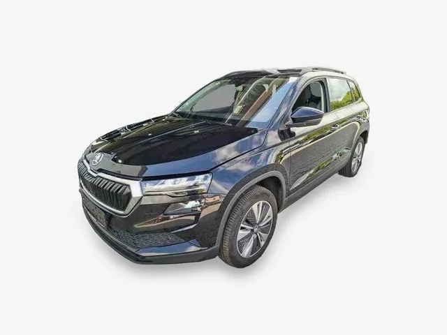 Skoda Kamiq 2.0 TDI Navi Rfk LED ACC AHK
